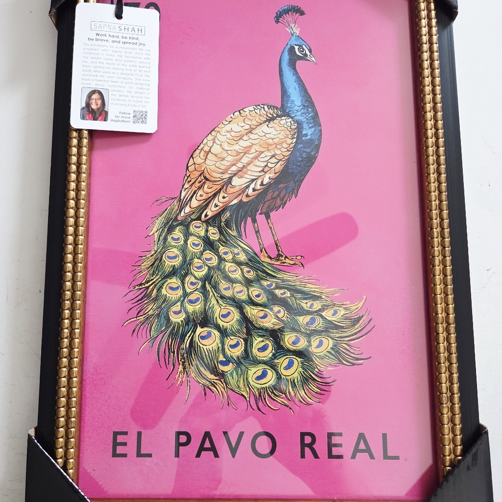 NWT Sapna Shah 12 x 18 Peacock #70 El Pavo Real Framed Art Print Glass.